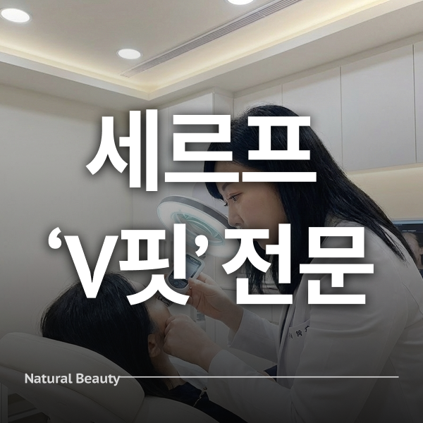 세르프 'V핏' 전문